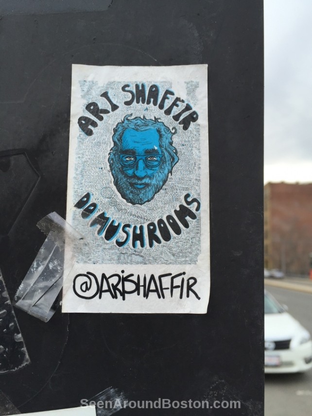 ari shaffir do mushrooms slap tag sticker
