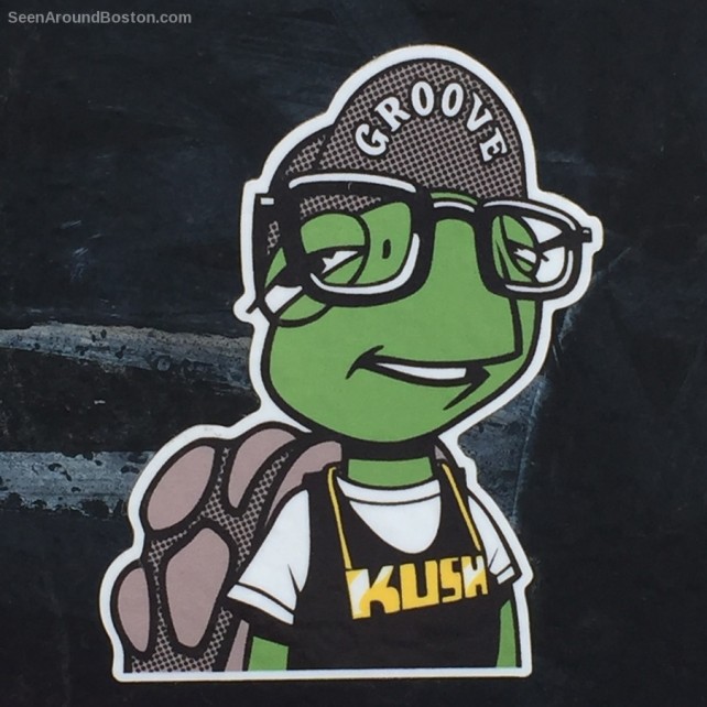 groove kush turtle sticker