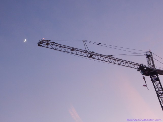 crane and moon over new england conservatory