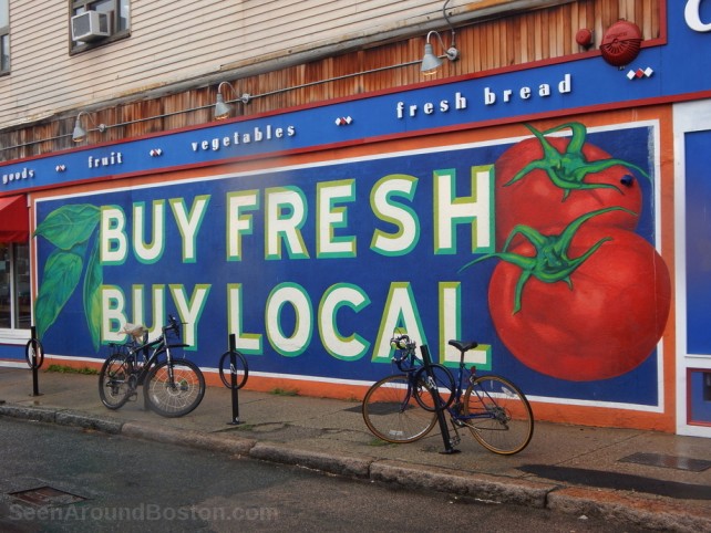 city feed and supply, jamaica plain murals