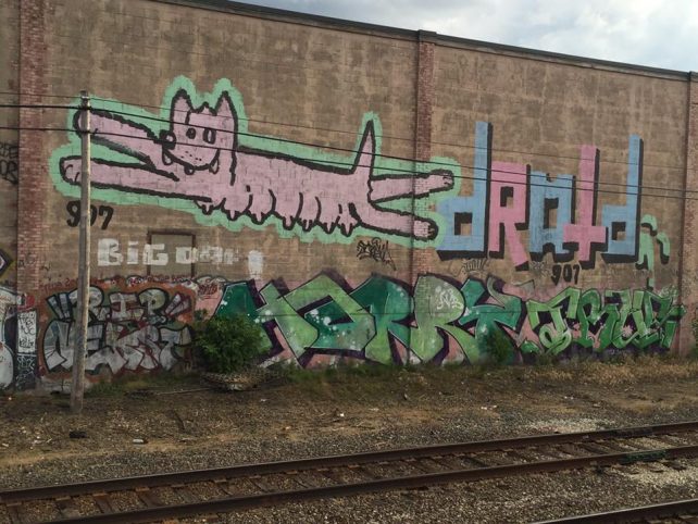 wolftits graffiti somerville ma